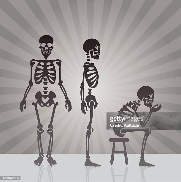 ilustraciones, imágenes clip art, dibujos animados e iconos de stock de esqueleto vista de - esqueleto humano