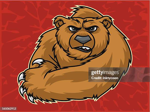 bearclaw - kodiak brown bear stock illustrations
