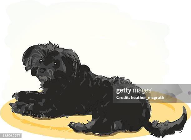 black dog - dog line art stock illustrations