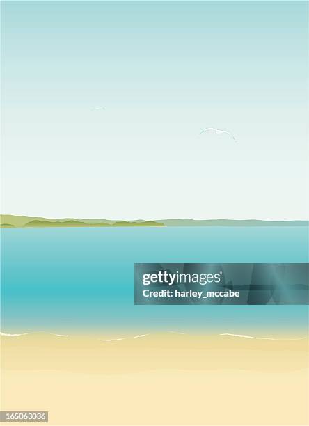 seaside - new zealand beach stock illustrations