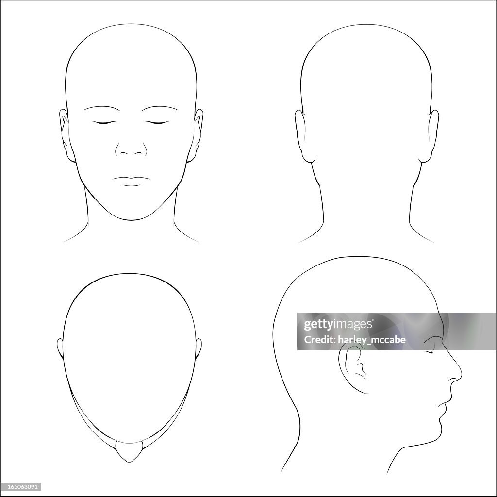 Testa umana superficie anatomia-Profilo