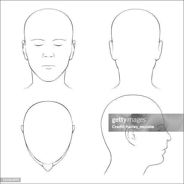 stockillustraties, clipart, cartoons en iconen met human head surface anatomy - outline - menselijk hoofd