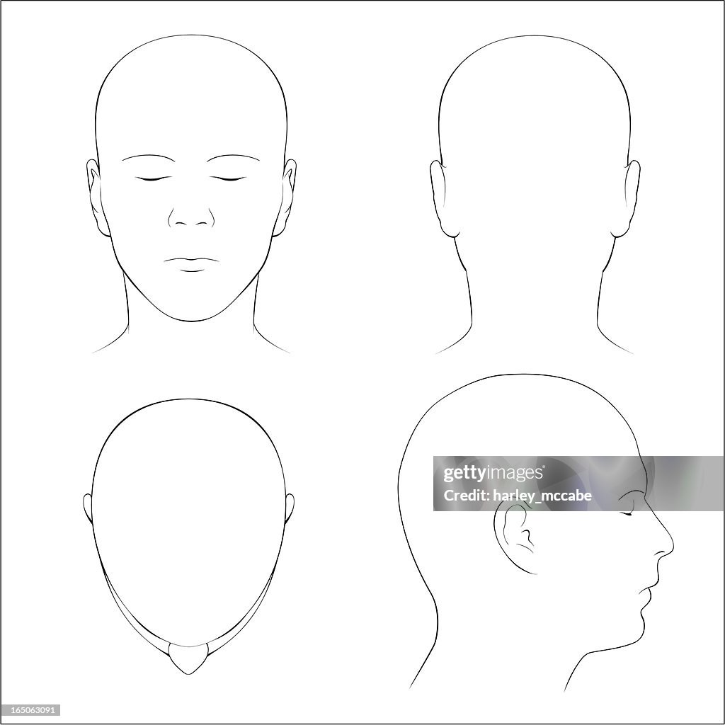 Human Head Surface Anatomy - Outline