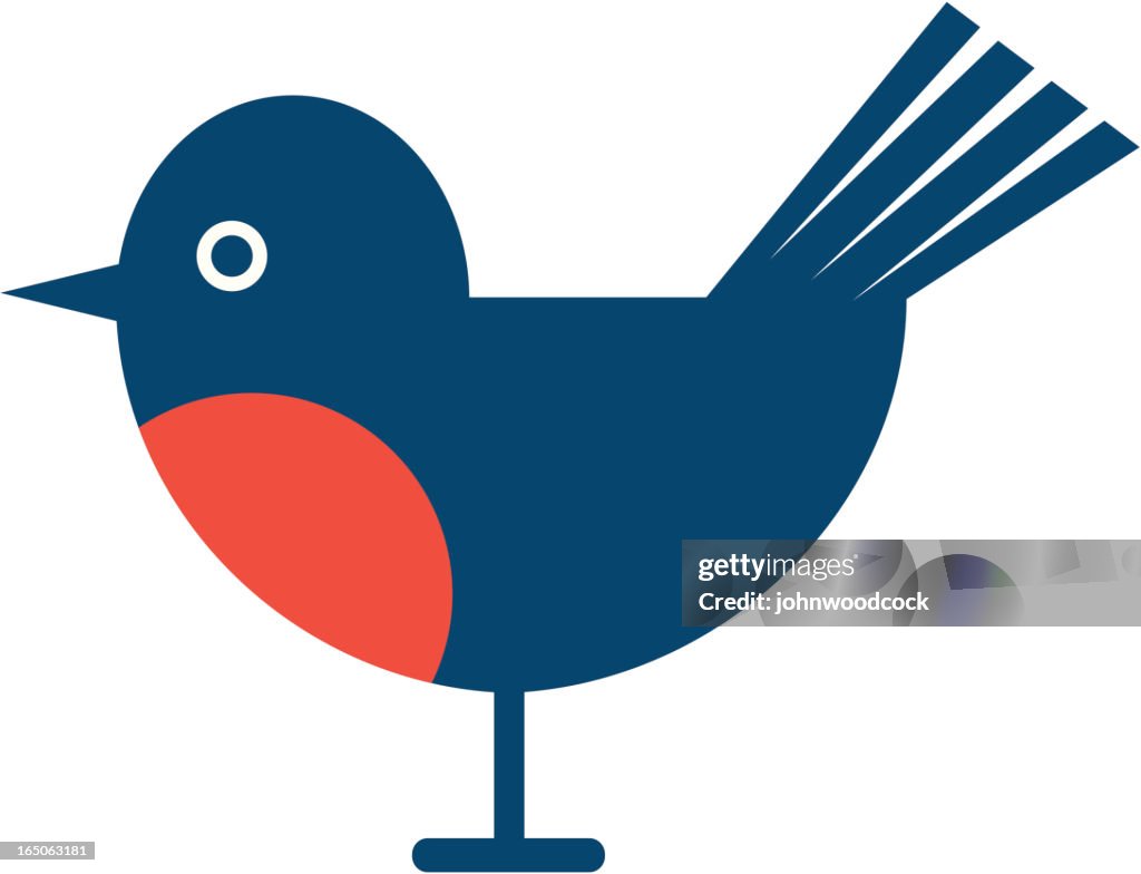 Robin Blue Vector Robin High-Res Vector Graphic - Getty Images