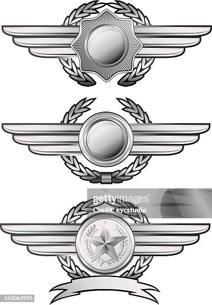 silver winged insignias - air force stock illustrations