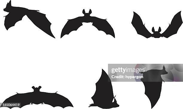 bildbanksillustrationer, clip art samt tecknat material och ikoner med bat silhouette collection - fladdermus