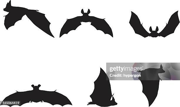 bat silhouette collection - bat animal stock illustrations