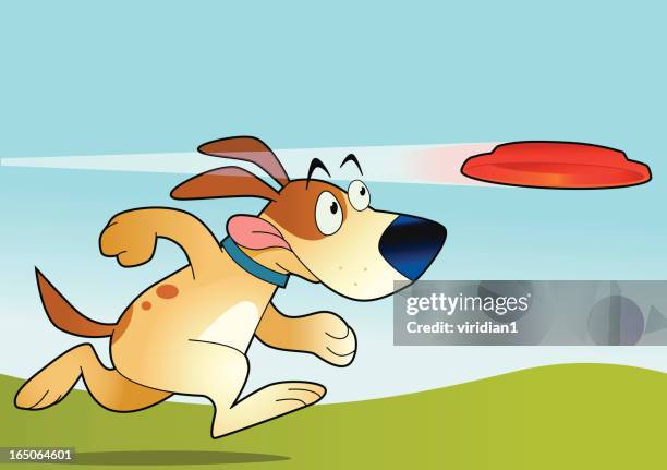 fetch the disk - dog chasing stock illustrations