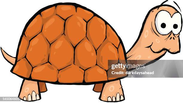 116 Turtle Shell Cartoon High Res Illustrations - Getty Images 116 Turtle Shell Cartoon High Res Illustrations - Getty Images