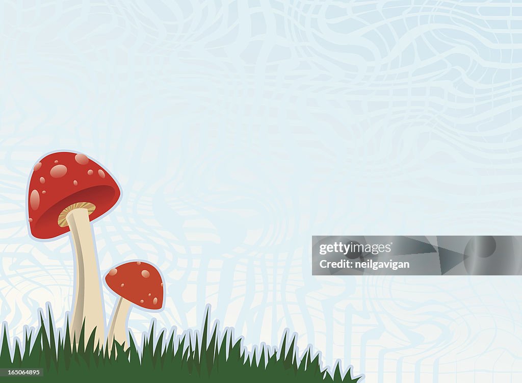 Red Mushrooms in Grass Patch