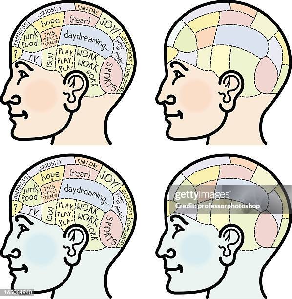 phrenology head - phrenology head stock illustrations