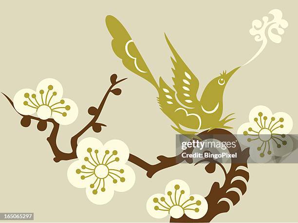 bird & plum blossom - magpie stock illustrations