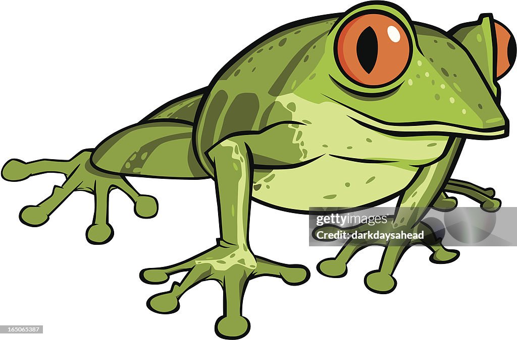 Cartoon Frog With Big Red Eyes High-Res Vector Graphic - Getty Images