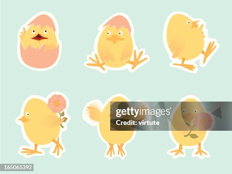 Six Chicks Six Chicks