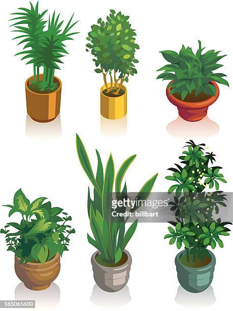 ilustrações, clipart, desenhos animados e ícones de plantas isometric house - vaso de flor