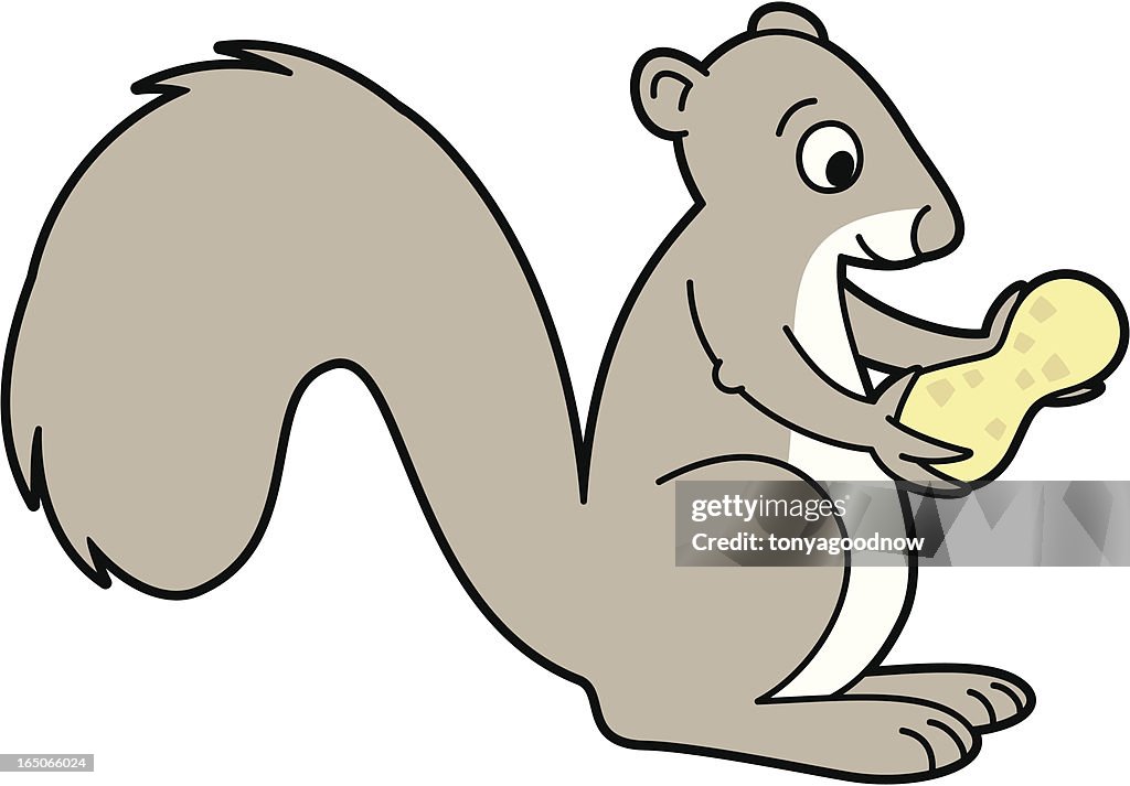 Squirrel with Nut