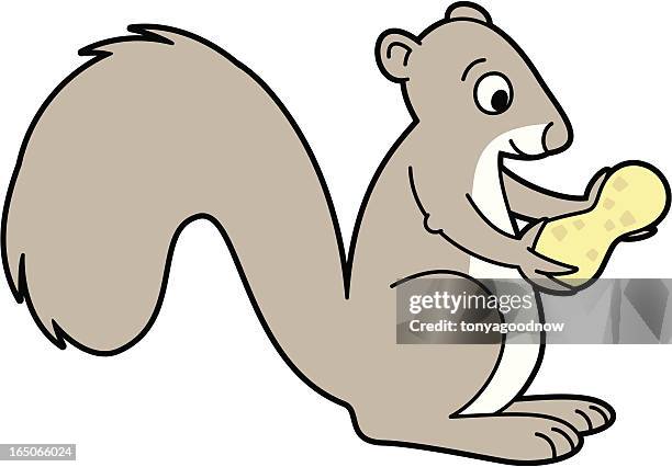 squirrel with nut - peanuts stock illustrations