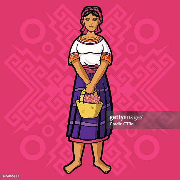 mazateca (mexican garment series) - patterned blouse stock illustrations