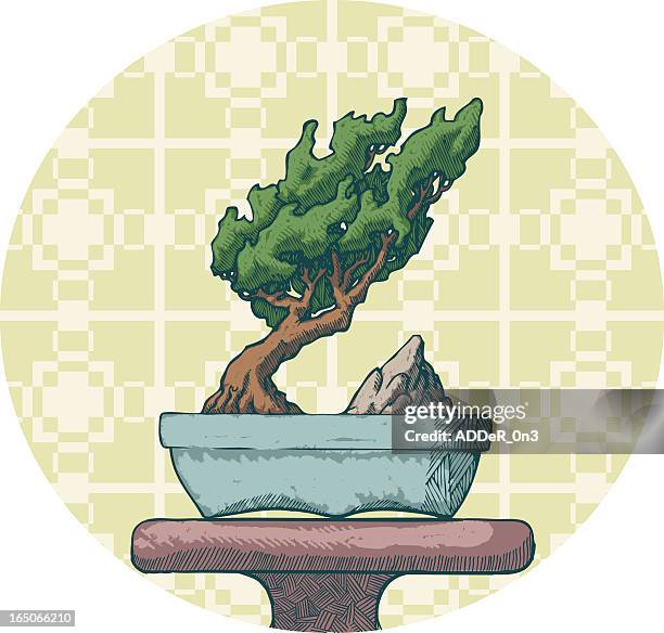 bonsai on display - japanese tree drawing stock illustrations