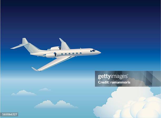 stockillustraties, clipart, cartoons en iconen met private jet - bedrijfsvliegtuig