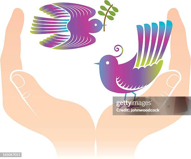 birds in the hand - cupped hands vector stock illustrations