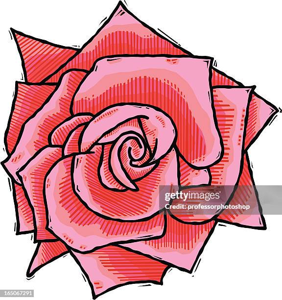 woodcut rose - rose petals stock illustrations
