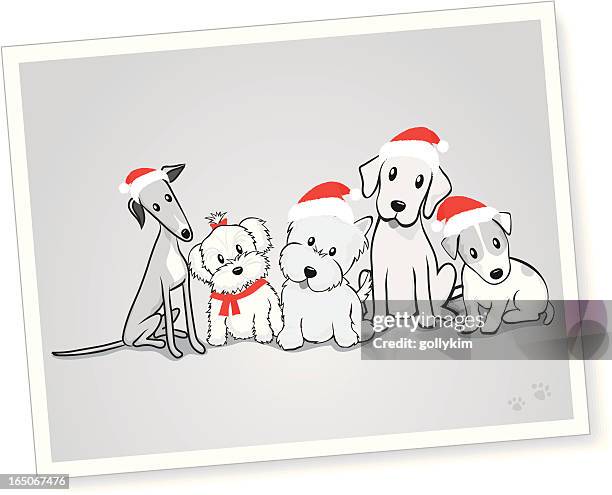 mixed group of dogs with santa hats - christmas dogs stock illustrations