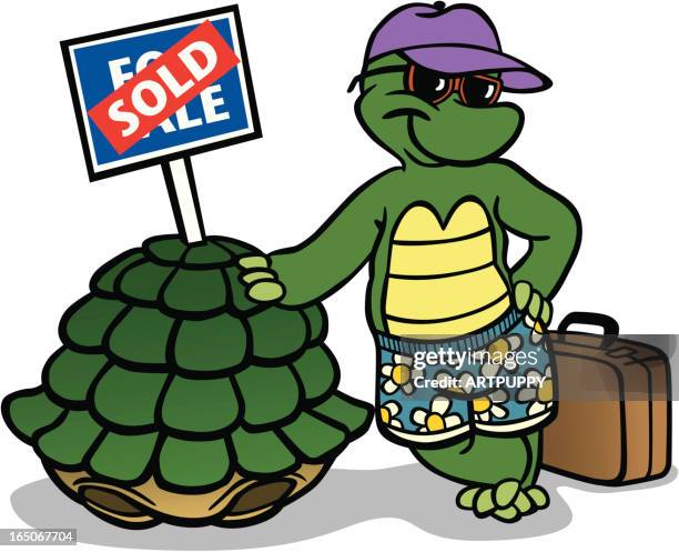 turtle selling his shell - turtle shell stock illustrations