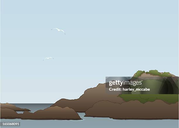 rocky shore - fjordlands national park south island new zealand stock illustrations