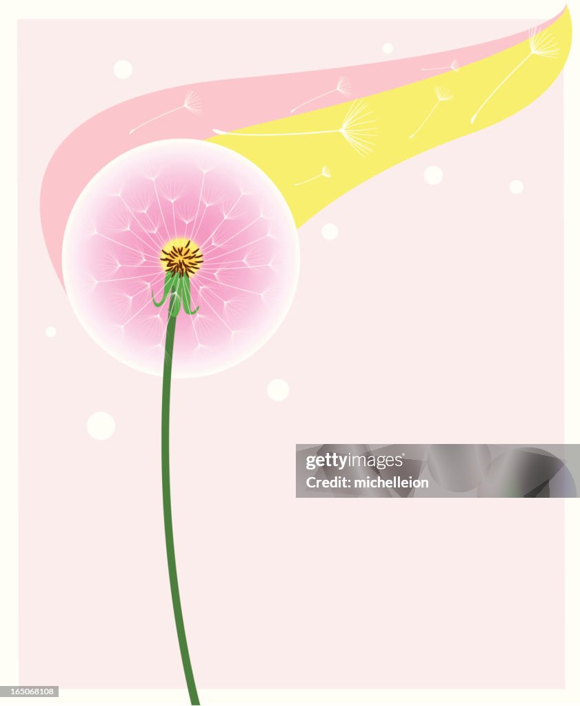 Dandelion Seeds