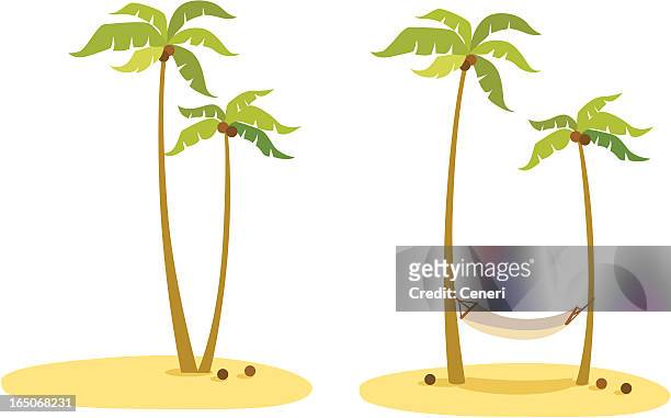coconut palm tree vacation on an island - hammock stock illustrations