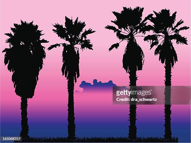 palm tree - tall person stock illustrations
