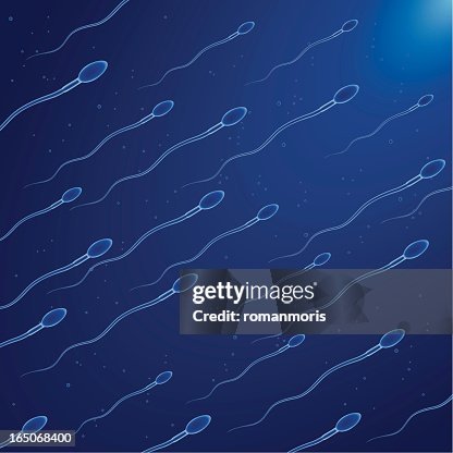 Sperm Sperm