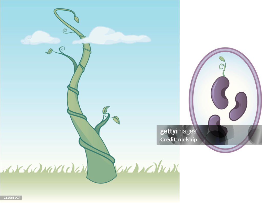 Fairy Tale Series: Magic Beanstalk