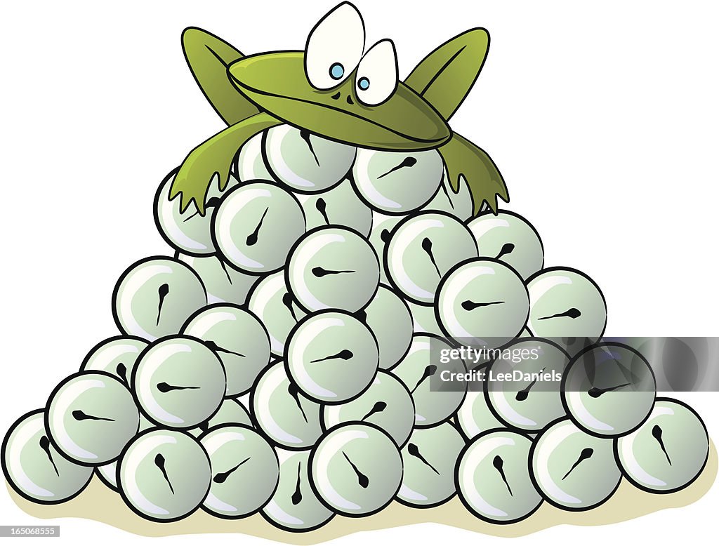 Frog Spawn