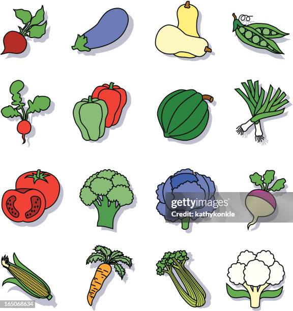 vegetables - acorn squash stock illustrations