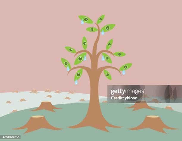 Tree Crying Crying Tree Photos and Premium High Res Pictures - Getty Images