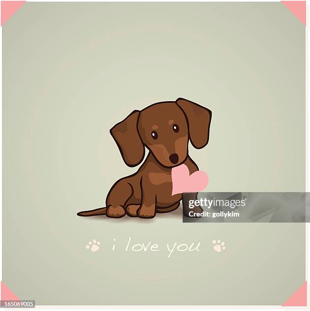 dachshund puppy - dachshund holiday stock illustrations