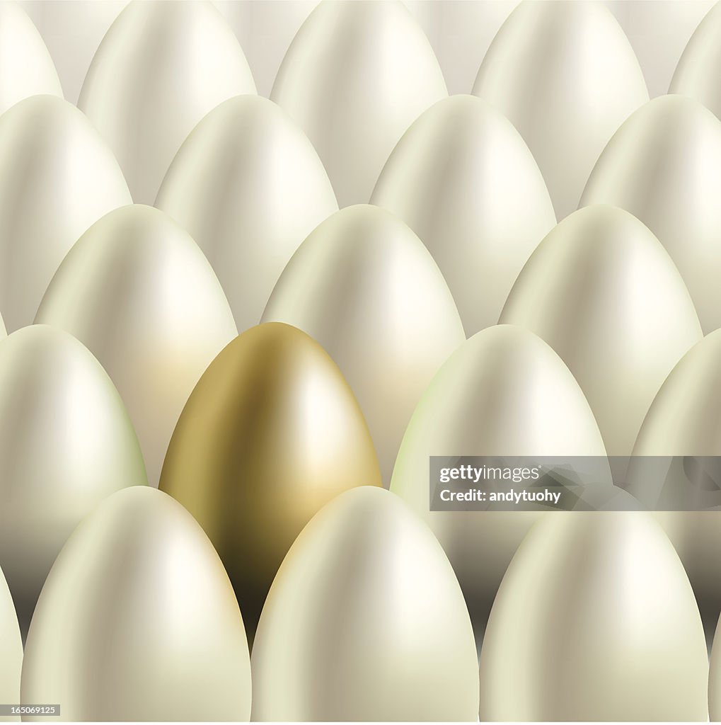 Nest Egg