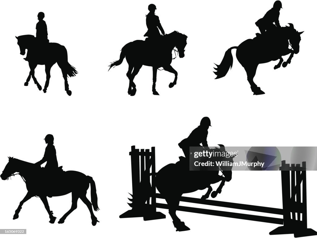 Horse Silhouettes (Vector Drawing)