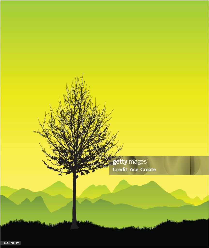 Delicado pequena árvore