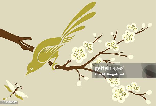 stockillustraties, clipart, cartoons en iconen met cherry blossom tree, bird & dragonfly - odonata