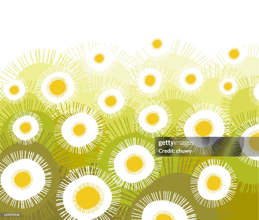 Image Daisy Exploding Daisies Explosion High-Res Vector Graphic - Getty Images