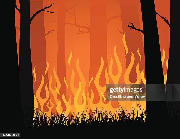 stockillustraties, clipart, cartoons en iconen met vector image of forest fire blazing in yellows and oranges - bosbrand