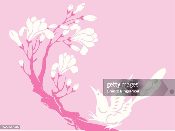 bird & flower - magpie stock illustrations