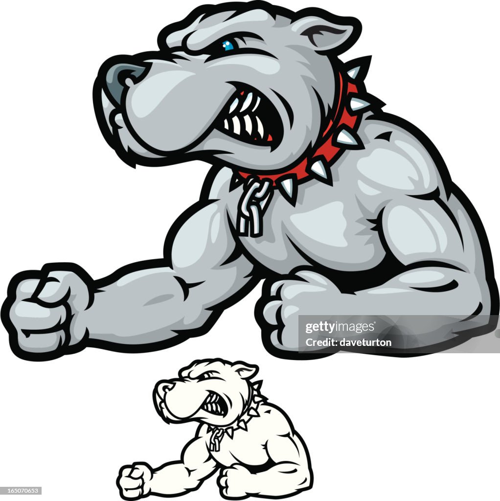 Bulldog Bodybuilder