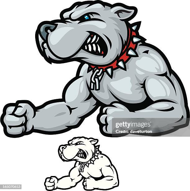 bulldog bodybuilder - strong pitbull stock illustrations