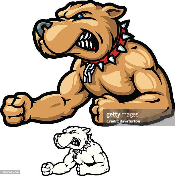 pitbull bodybuilder - strong pitbull stock illustrations