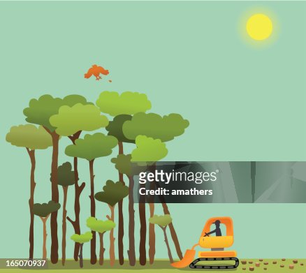 115 Cutting Trees Cartoon High Res Illustrations - Getty Images