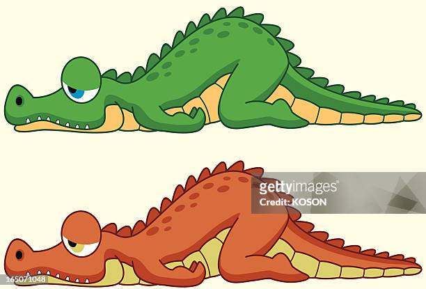 20 Crocodile Water Clip Art Photos and Premium High Res Pictures - Getty  Images